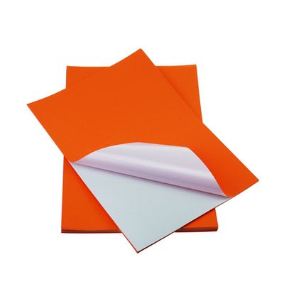 Carta adesiva dell'autoadesivo del vinile di dimensione della lettera della carta dell'autoadesivo della pasta di cellulosa di premio 100% di colore A4 alta
